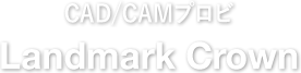 CAD/CAMプロビ（Landmark Crown）